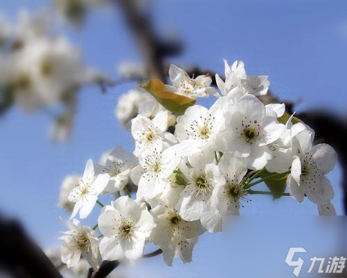 尋找起源之旅——以游戲的形式探索自我（如何獲得以我的起源不妨游衍莫忘歸稱號(hào)）