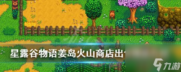 星露谷物語姜島寶石鳥擺放順序攻略（最新攻略分享）