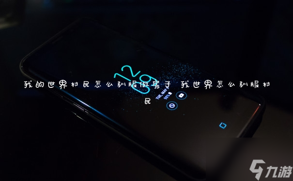 我的世界村民怎么驯服做房子 我世界怎么驯服村民