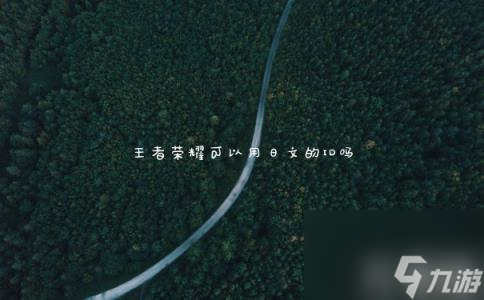 王者荣耀可以用日文的ID吗