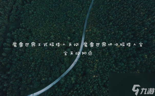 魔兽世界正式服猎人天赋 魔兽世界怀旧服猎人宝宝天赋加点