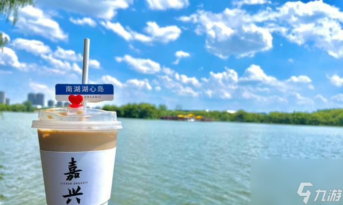 《风来之国》湖心岛攻略 一次梦幻般的探险之旅 