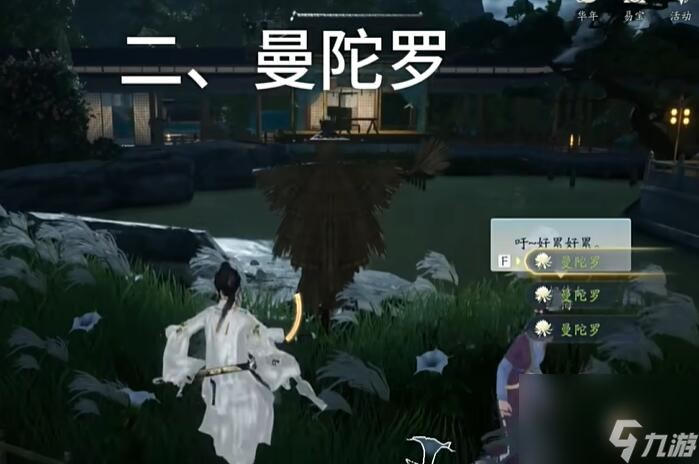 射雕手游梦华录赵王府全收集攻略