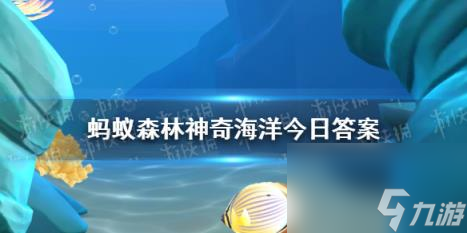 鵜鶘鮼魚是燈籠魚還是寬咽魚