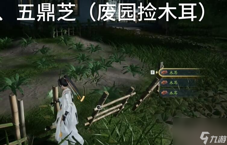 射雕手游梦华录赵王府全收集攻略