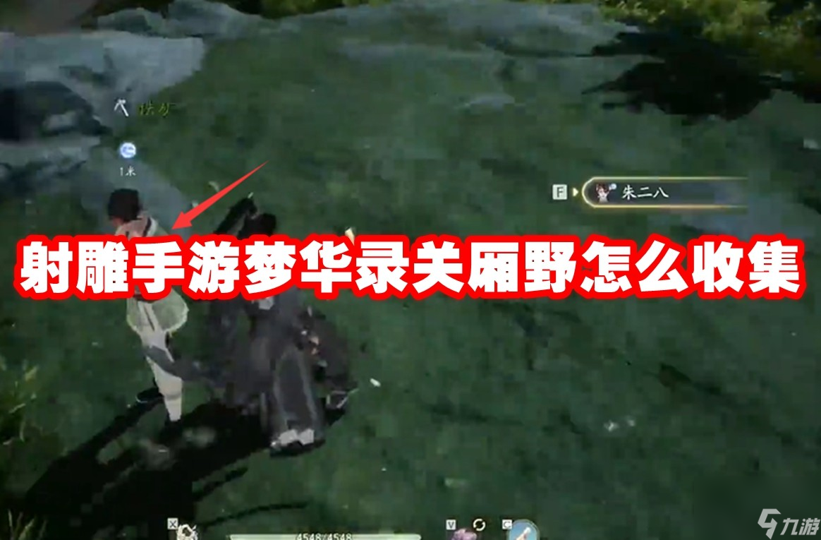 射雕手游梦华录关厢野怎么收集
