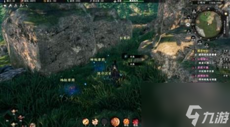 下一站江湖2菩提石像奇遇任务详解