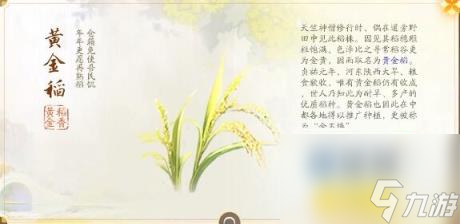 射雕关厢野梦华录位置介绍