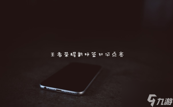王者荣耀新标签如何点亮