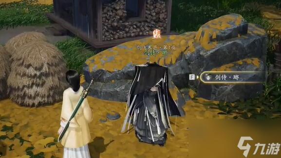 《射雕》无定坊剑侍位置一览