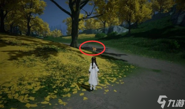 射雕手游无定坊猛兽献宝位置在哪