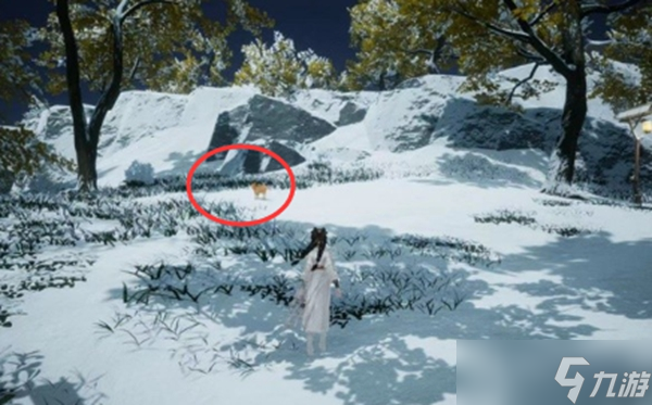 射雕手游无定坊猛兽献宝位置在哪