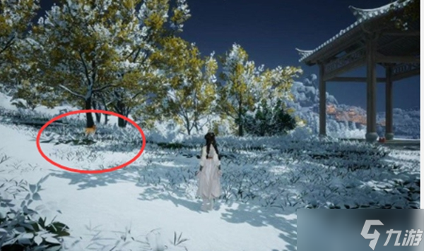 射雕手游无定坊猛兽献宝位置在哪