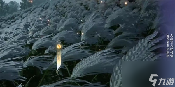 射雕 成就惹人注目的诗篇探索指南