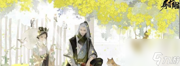 射雕手游神秘商人购买推荐介绍