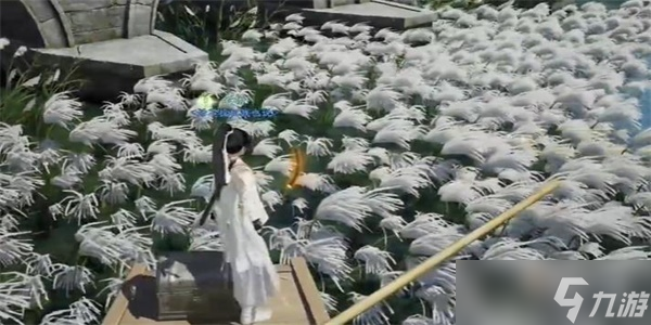 射雕手游梅花肯瓷怎么收集