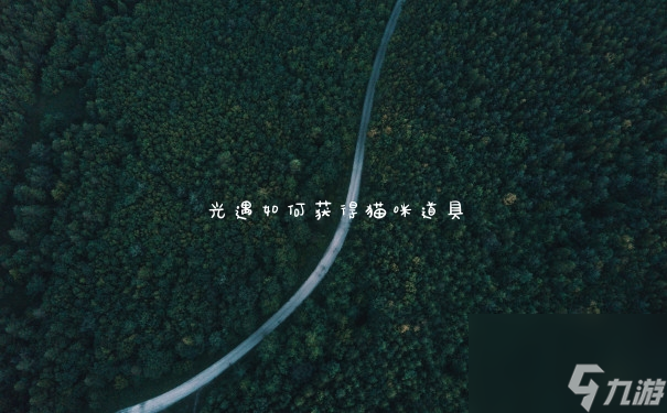 光遇如何获得猫咪道具