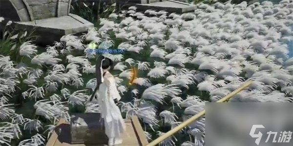 射雕手游梅花肯瓷怎么收集 梅花肯瓷收集方法介绍