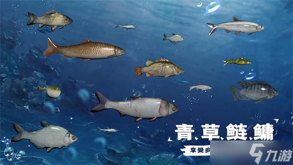 天天釣魚(yú)怎么釣龍