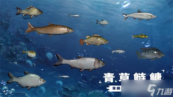 天天釣魚(yú)怎么才能釣到龍 快速釣龍技巧攻略