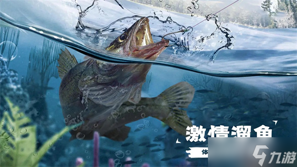 天天釣魚釣龍技巧有哪些