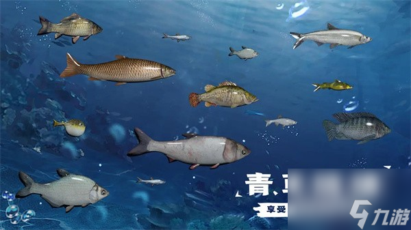 天天釣魚怎么速刷龍玉