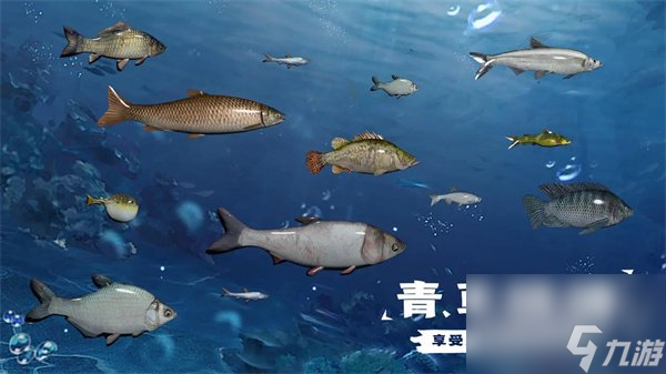 天天釣魚怎么刷龍玉 天天釣魚速刷龍玉技巧分享