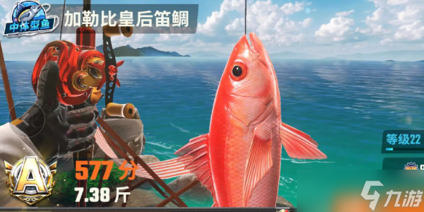 歡樂釣魚大師魚類圖鑒大全