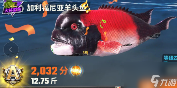 歡樂釣魚大師圖鑒最后一條魚長什么樣 歡樂釣魚大師全部魚類圖鑒攻略