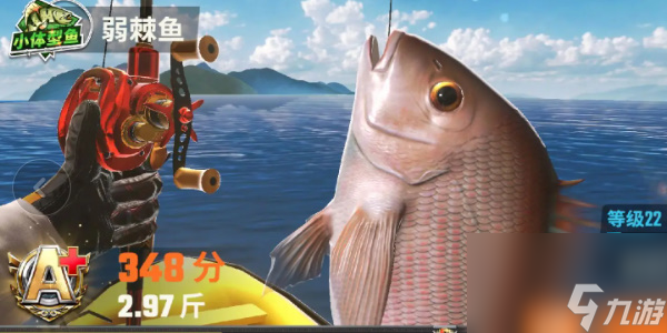 歡樂釣魚大師圖鑒最后一條魚長什么樣 歡樂釣魚大師全部魚類圖鑒攻略