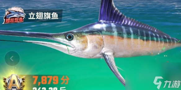 歡樂釣魚大師魚類圖鑒大全