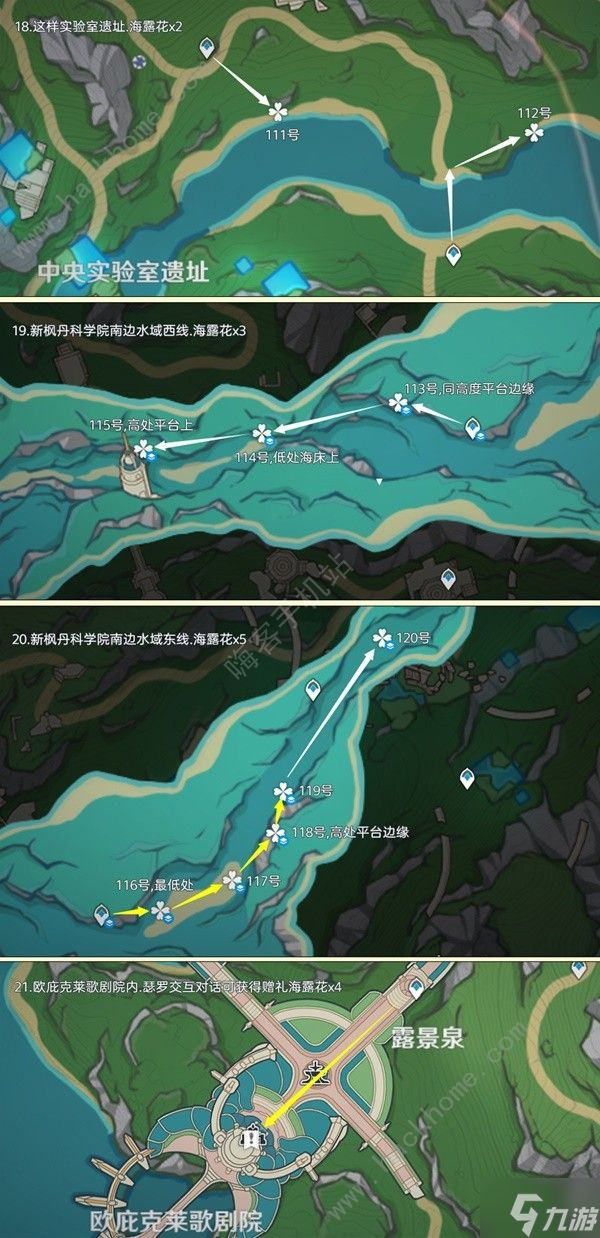 原神4.5海露花采集路线图最新 4.5海露花收集点位一览