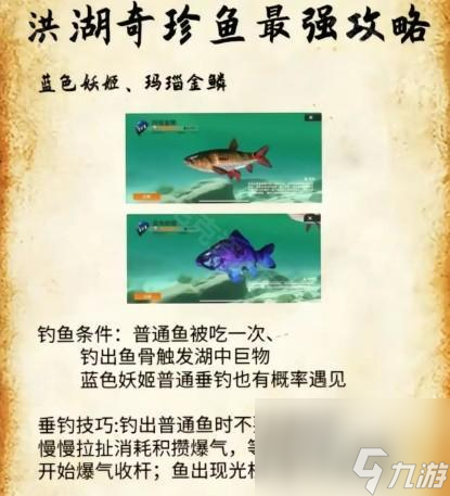 《欢乐钓鱼大师》洪湖最后两条鱼在哪里