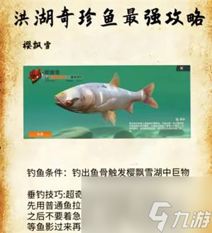 歡樂(lè)釣魚大師洪湖最后兩條魚在哪-洪湖最后兩條魚獲取方法