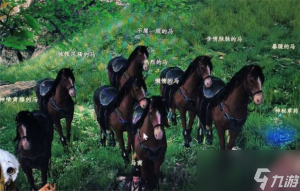 《下一站江湖2》马匹获取方法