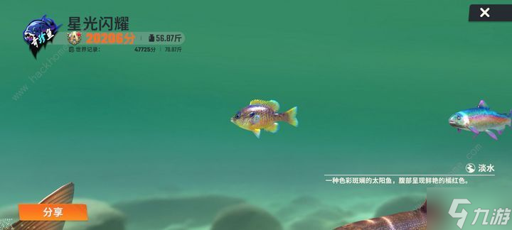 歡樂釣魚大師稱號魚怎么釣 稱號魚釣取技巧詳解