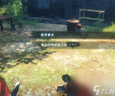 下一站江湖2救六婶丹药介绍
