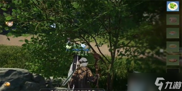 射雕手游红尘戏任务攻略大全