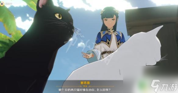 原神雷叫什么名字 塞塔蕾的猫名字意义