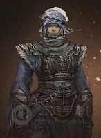 艾尔登法环职业大全-艾尔登法环十大职业汇总
