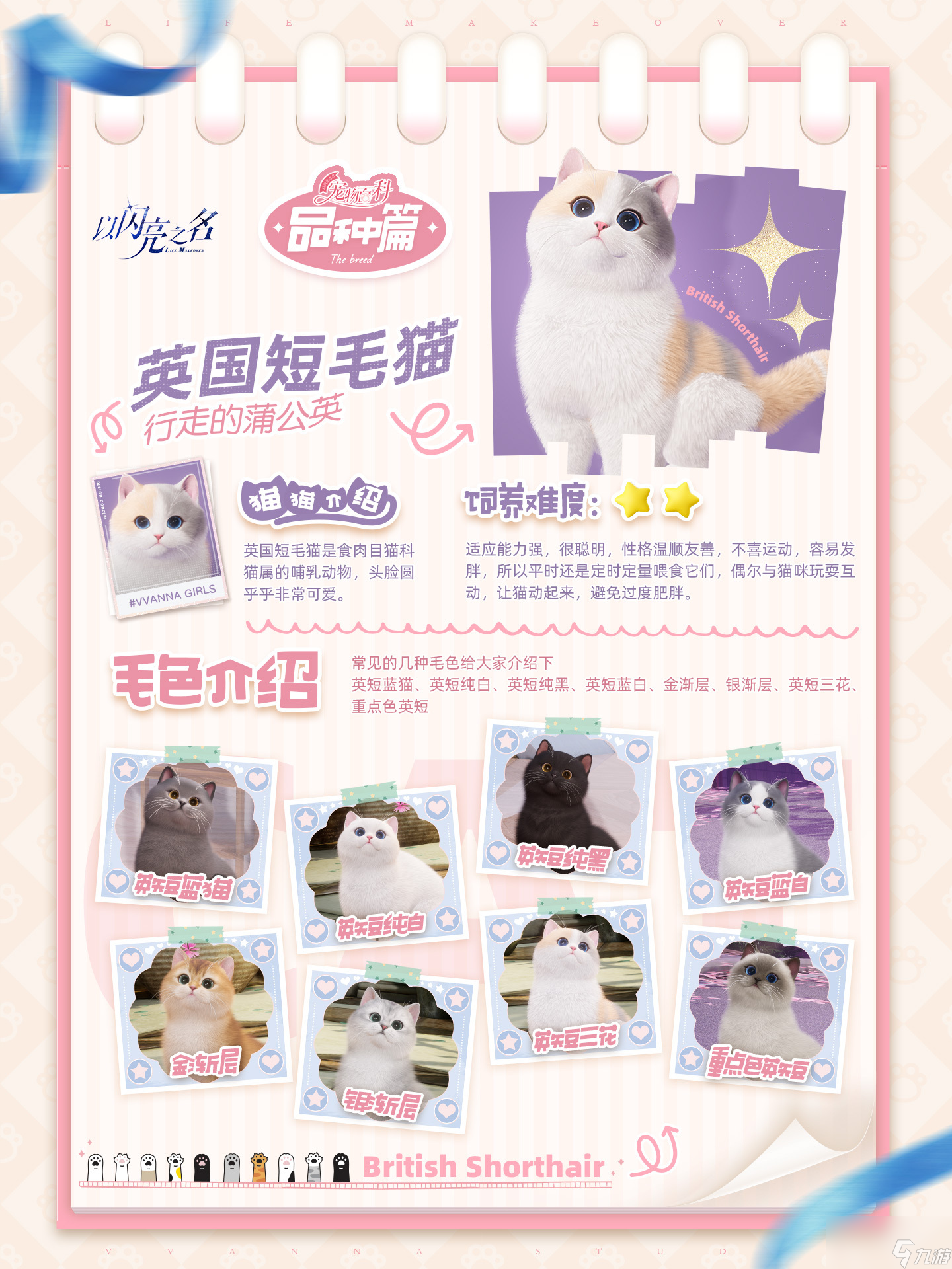 以闪亮之名宠物系统怎么玩