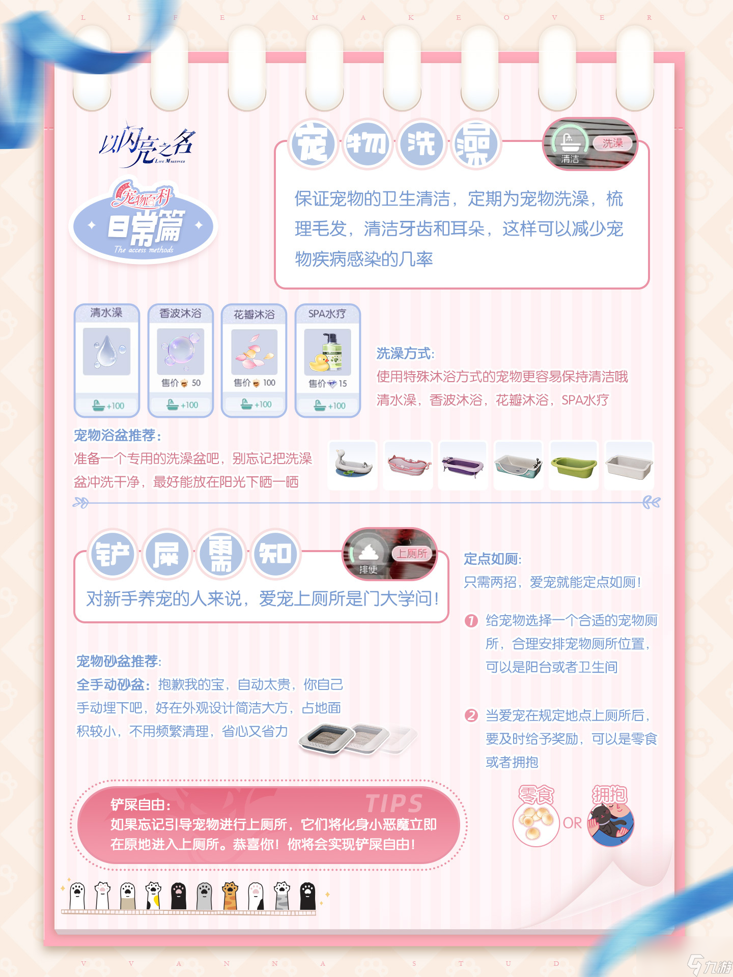 以闪亮之名宠物系统怎么玩