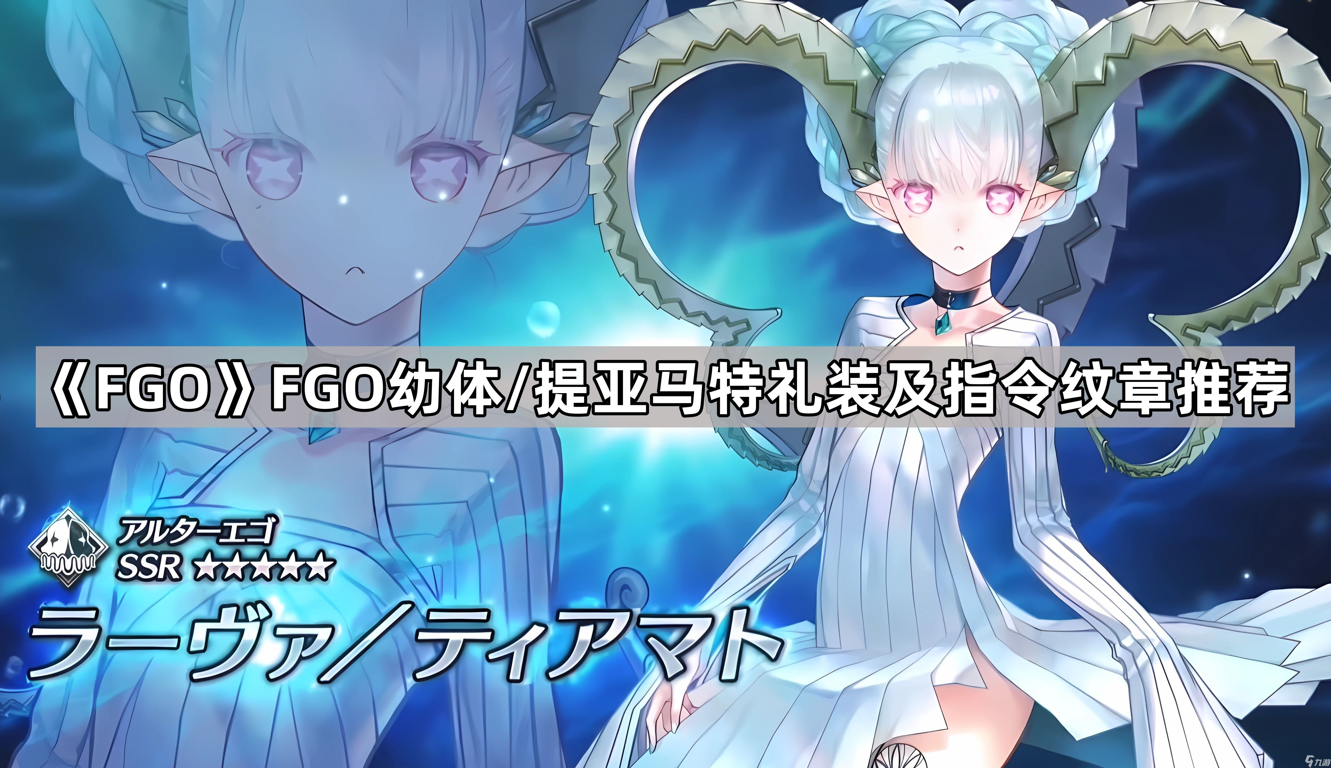《Fate/Grand Order》FGO幼体/提亚马特礼装及指令纹章推荐