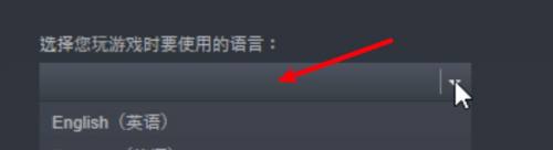 steam铁拳7怎么切换中文 铁拳7中文设置教程