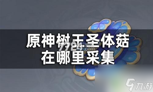 原神大王圣體菇 原神樹王圣體菇怎么快速收集