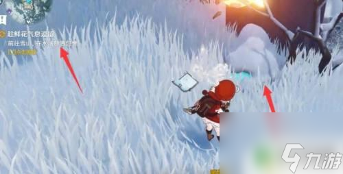 原神鮮花怎么放置包裹 原神趁鮮花氣息逗留任務包裹放置技巧