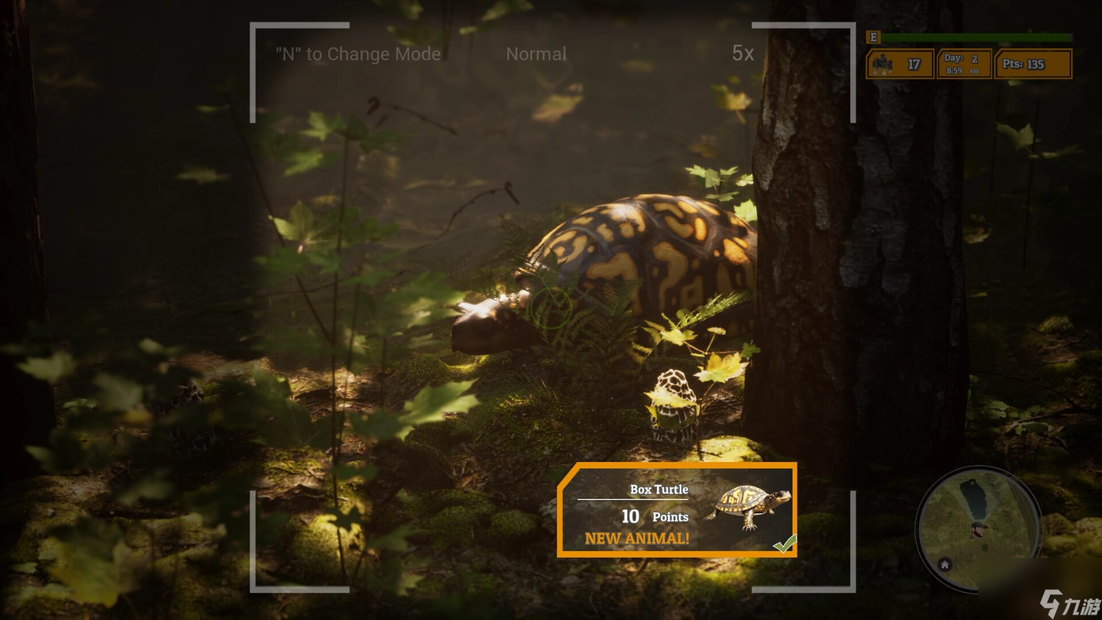 《羊肚菌：狩猎2》游戏性预告 现已正式推出