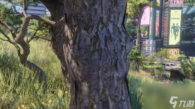《赛博朋克2077》高清材质包：升级所有树木画质