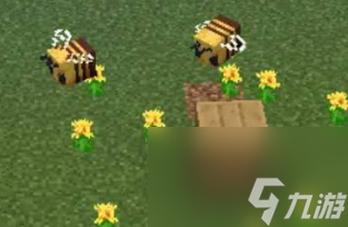 我的世界蜜蜂怎么养教程 我的世界蜜蜂怎么繁殖？