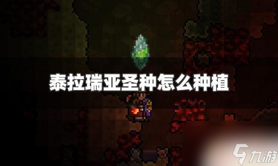 泰拉瑞亚怎么找到圣种 泰拉瑞亚圣种种植技巧